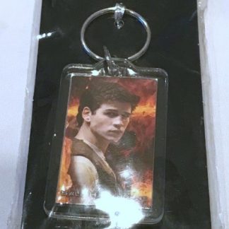 hunger games keychain