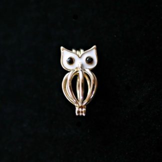owl charm